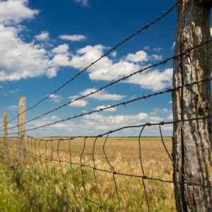 Agriculture_fencing-net-300x300