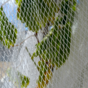 Bird-net-300x300 (1)